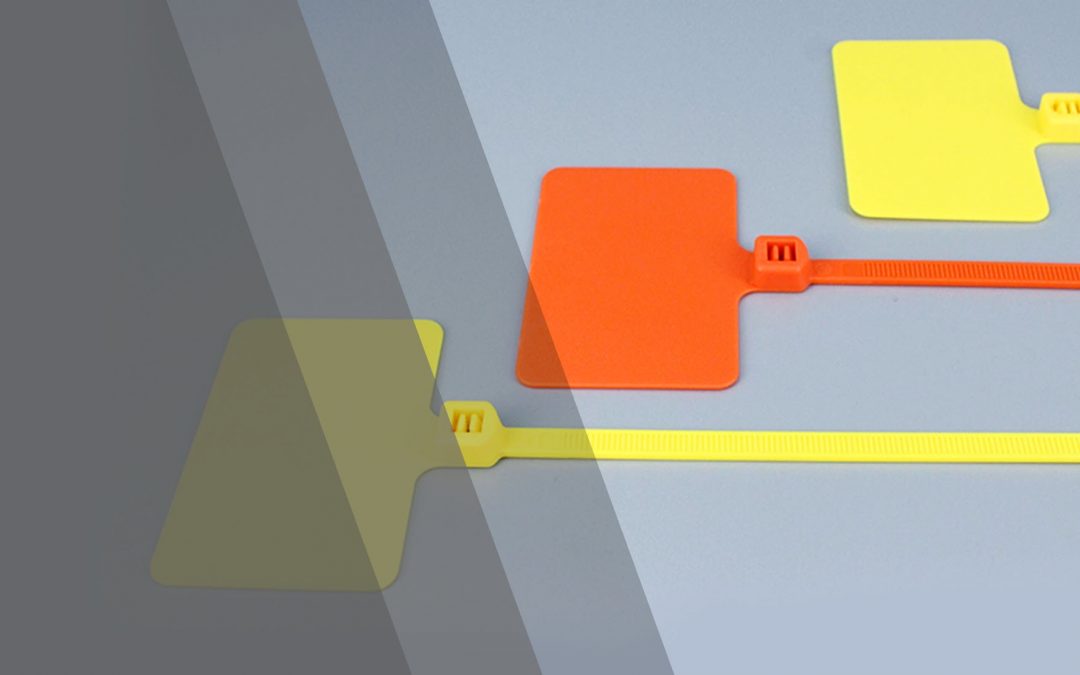 Big investment news by us